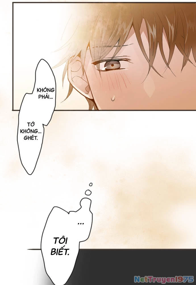 Hoa Cánh Sao Chapter 53 - 10