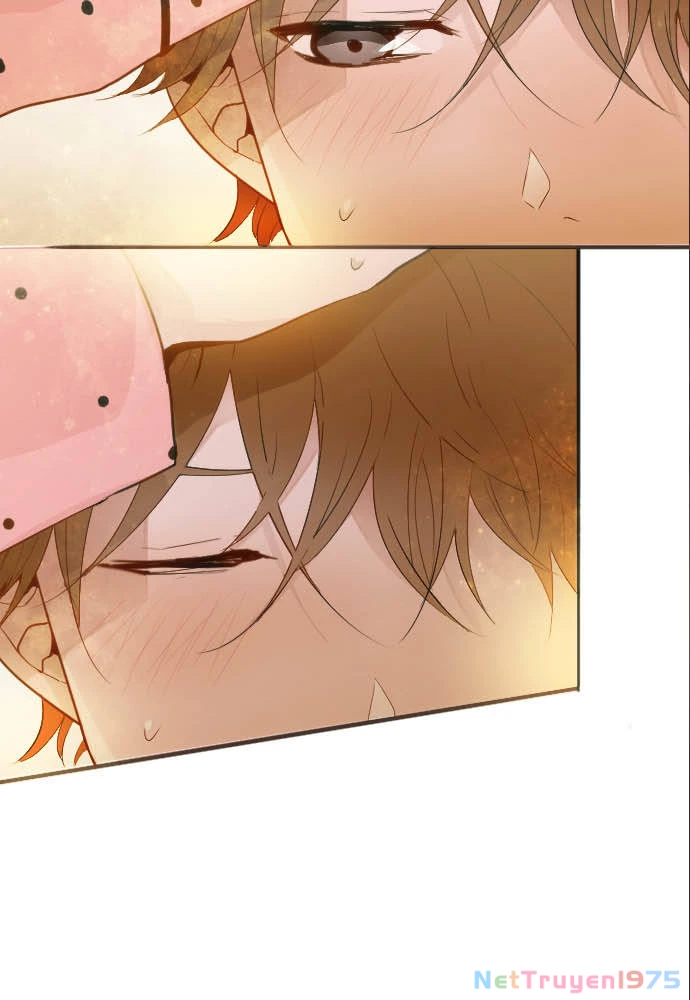 Hoa Cánh Sao Chapter 53 - 17