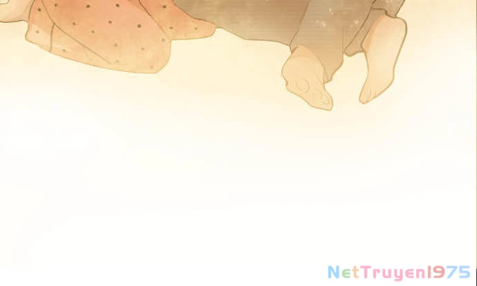 Hoa Cánh Sao Chapter 53 - 22