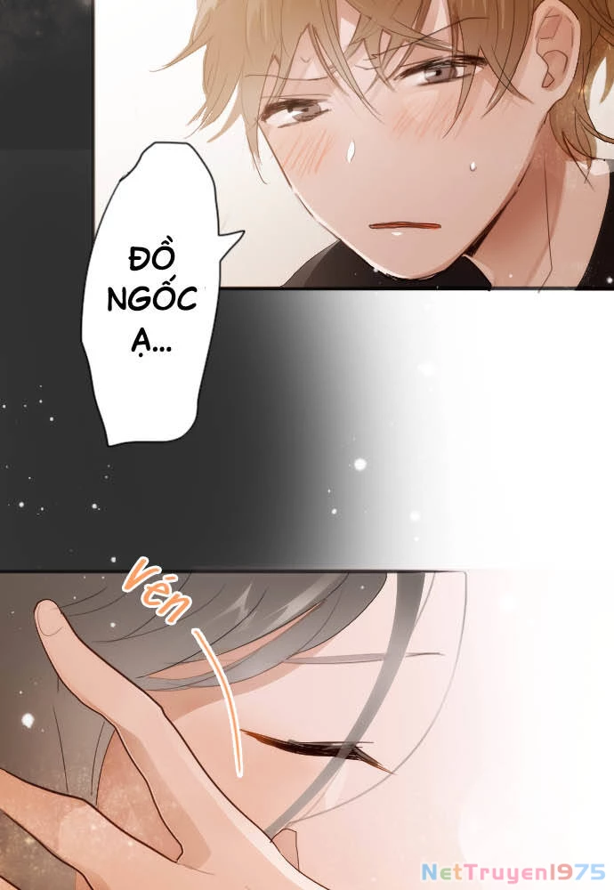 Hoa Cánh Sao Chapter 53 - 59