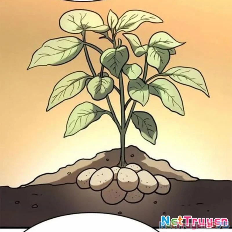 Thưa Quỷ Vương Chúng Ta Bội Thu Rồi Chapter 13 - 76