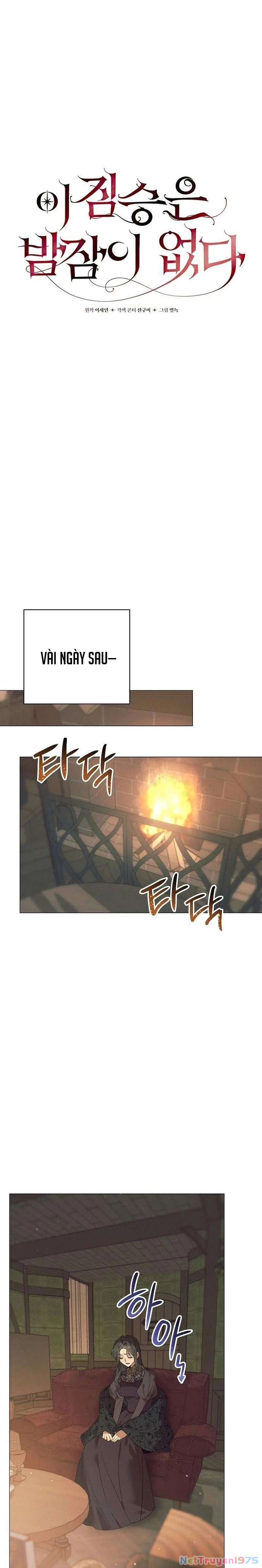 Đêm không ngủ của mãnh thú Chapter 2 - 14
