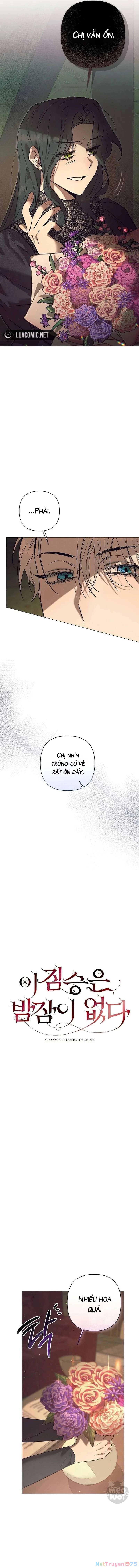 Đêm không ngủ của mãnh thú Chapter 3 - 5