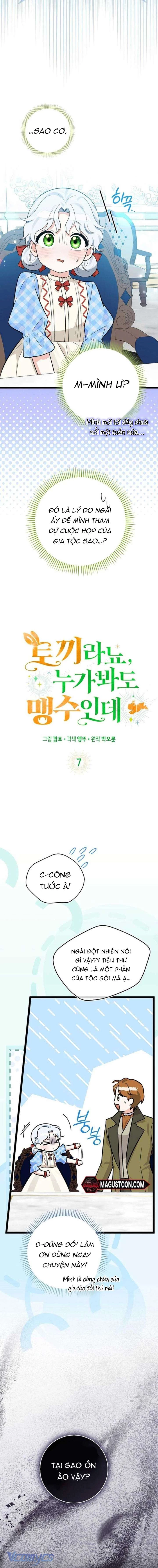 Thỏ Á? Rõ Ràng Là Mãnh Thú Cơ Mà! Chapter 7 - 3