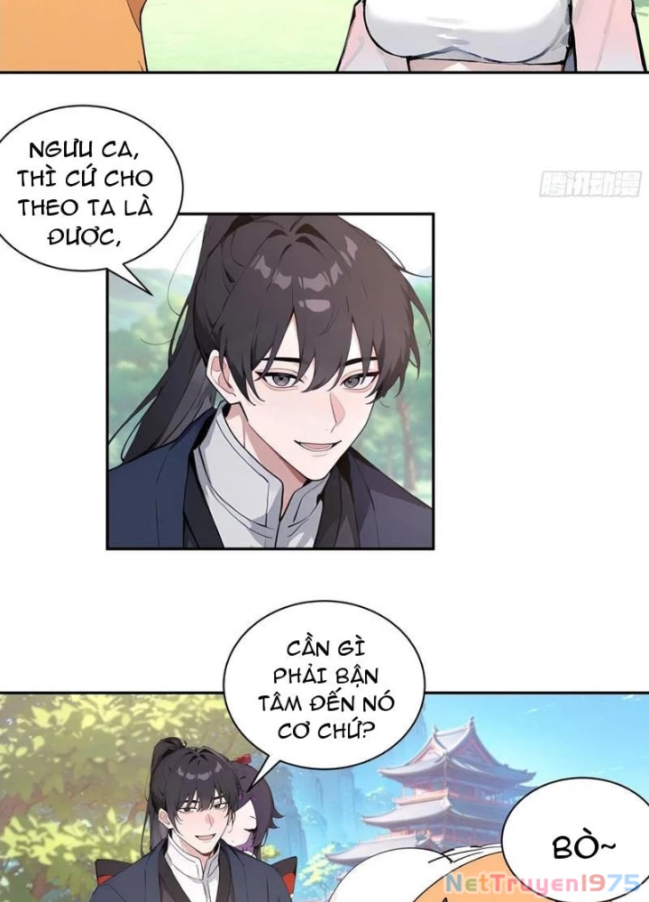 Bách Thê Phổ: Thánh nữ đều gọi ta là phu quân Chapter 51 - 77