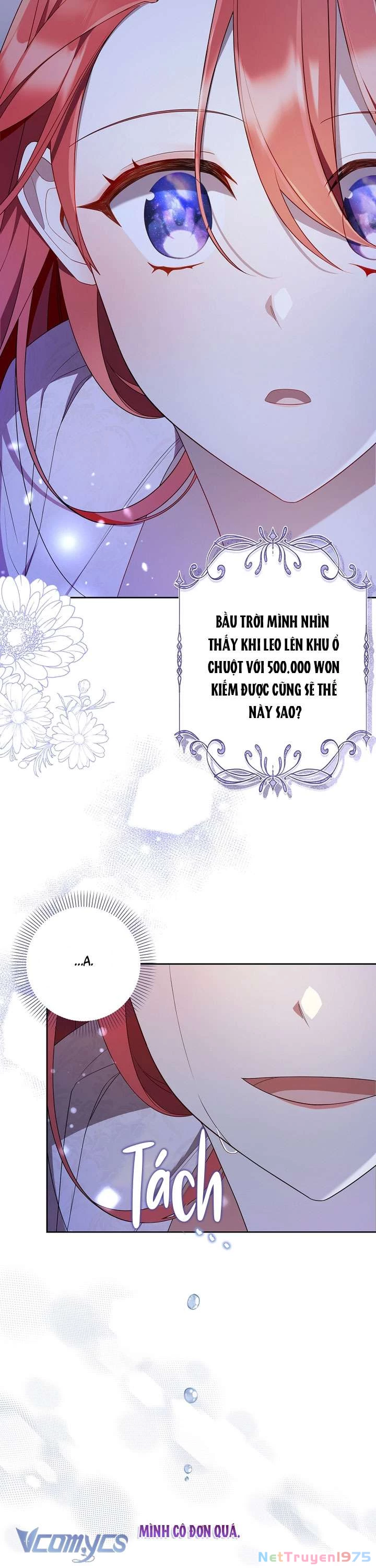 Quý Tộc Gì Chứ, Tôi Chỉ Muốn Về Nhà Chapter 37 - 17