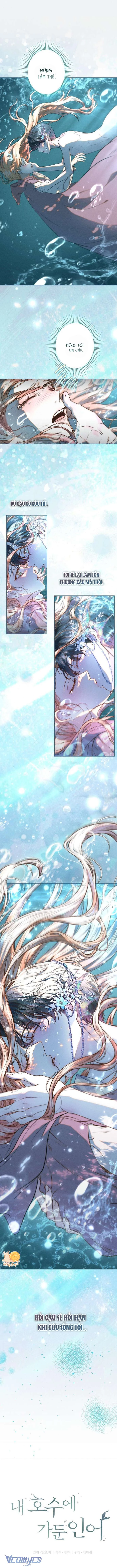 Chàng Tiên Cá Bị Giam Cầm Trong Hồ Nhà Tôi Chapter  6 - 2