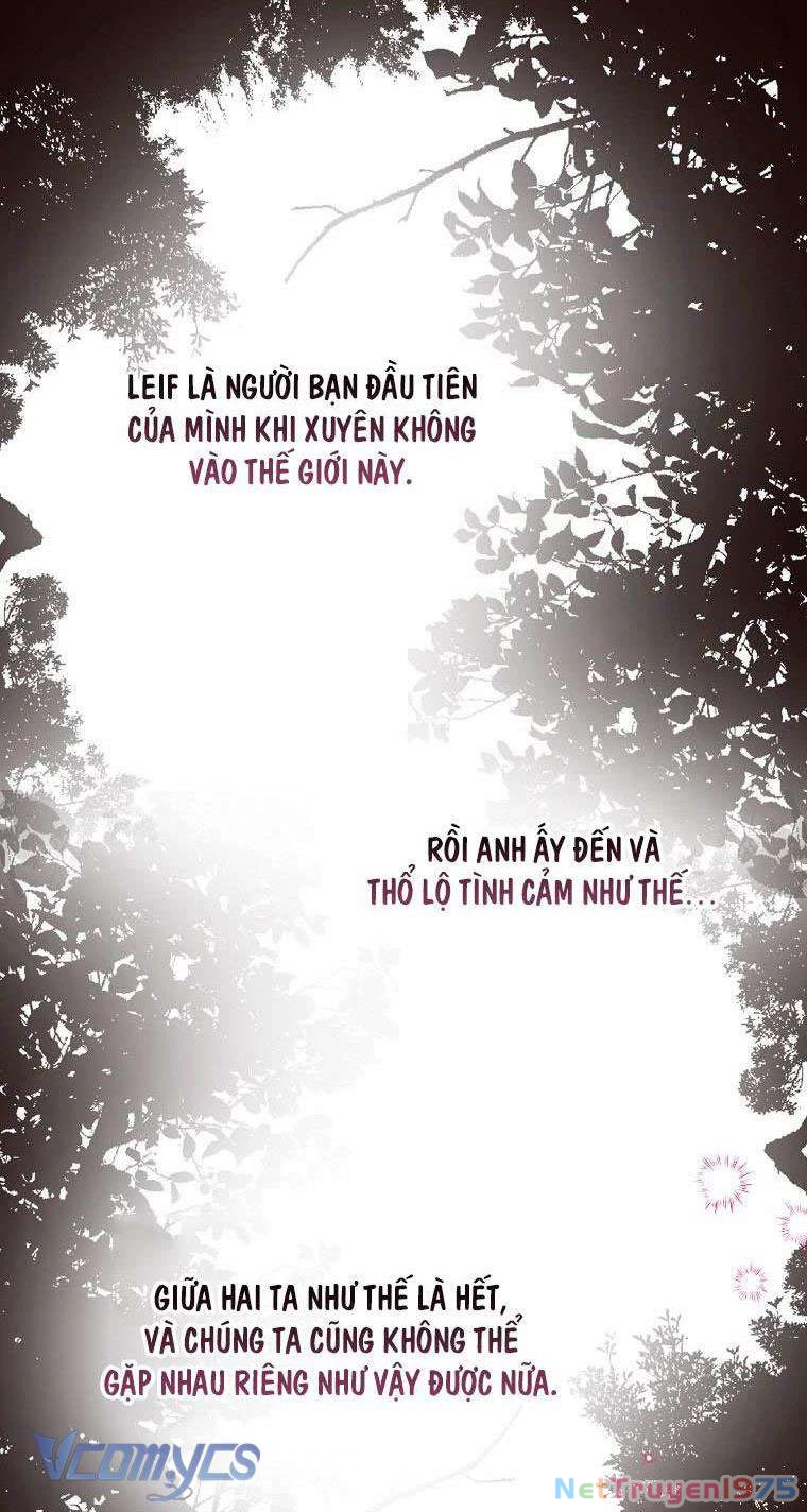 Các Nam Chính Đã Bị Nữ Phụ Cướp Mất Chapter 2 - 31