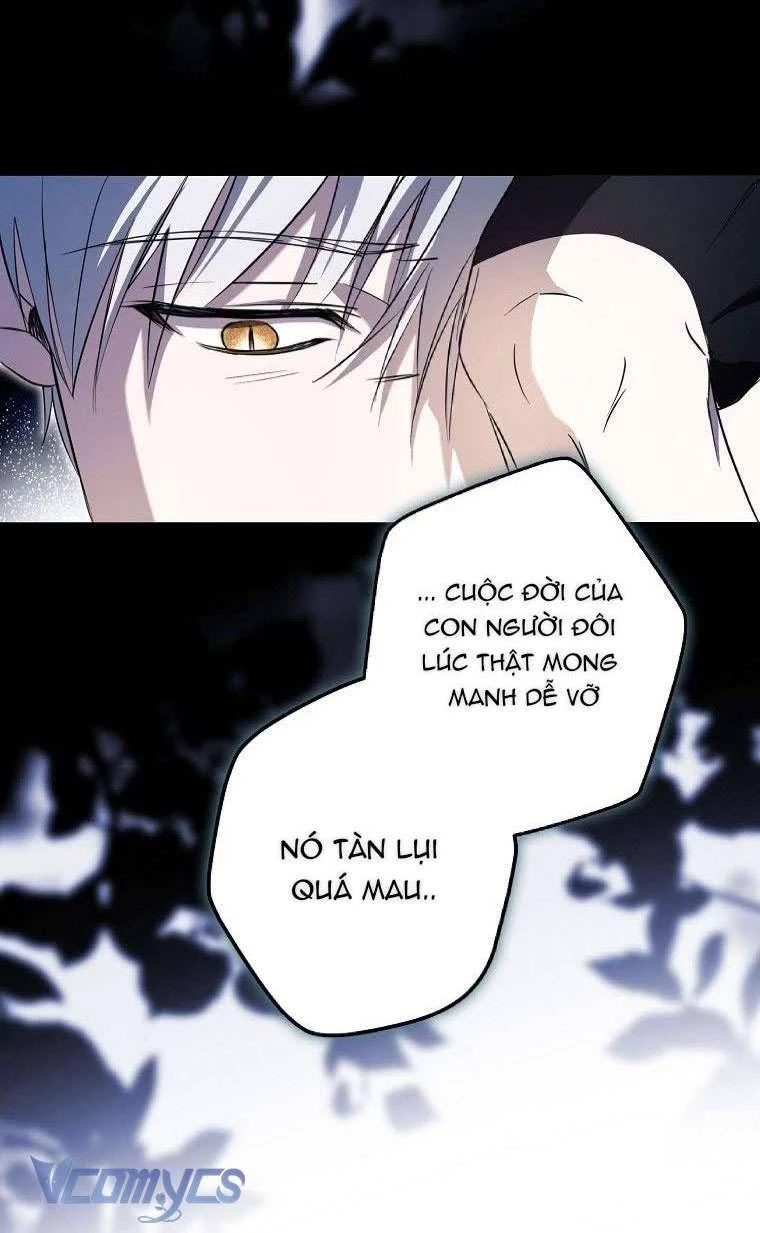 Các Nam Chính Đã Bị Nữ Phụ Cướp Mất Chapter 3 - 19