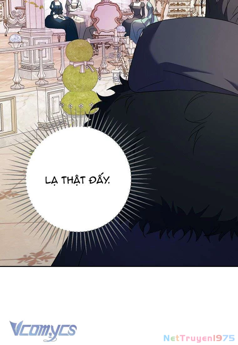 Các Nam Chính Đã Bị Nữ Phụ Cướp Mất Chapter 9 - 78