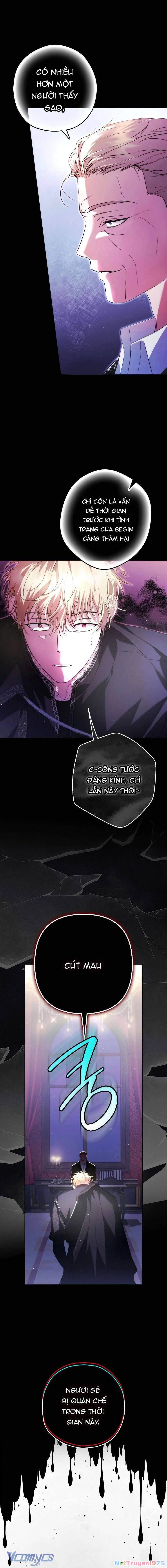 Các Nam Chính Đã Bị Nữ Phụ Cướp Mất Chapter 24 - 2