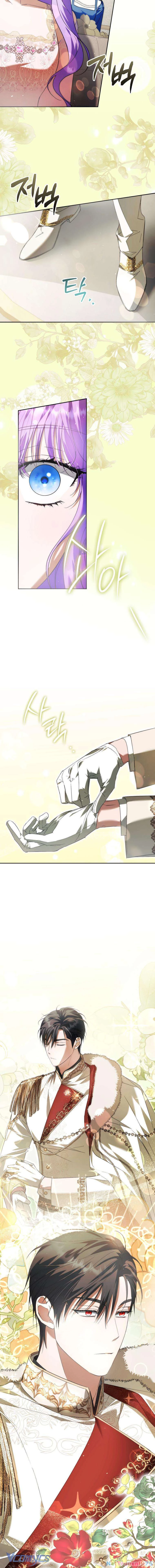 Các Nam Chính Đã Bị Nữ Phụ Cướp Mất Chapter 26 - 4