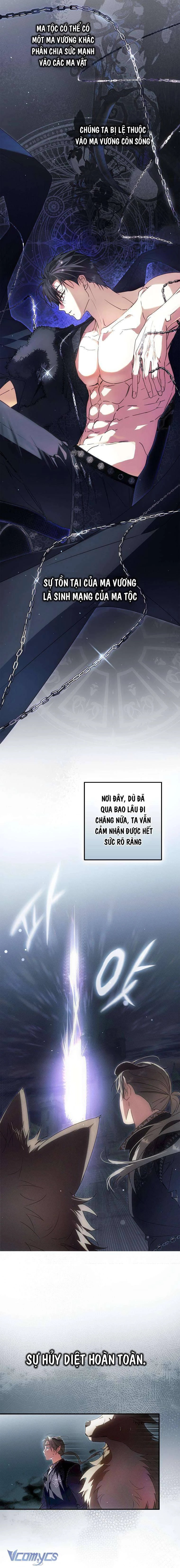 Các Nam Chính Đã Bị Nữ Phụ Cướp Mất Chapter 29 - 4