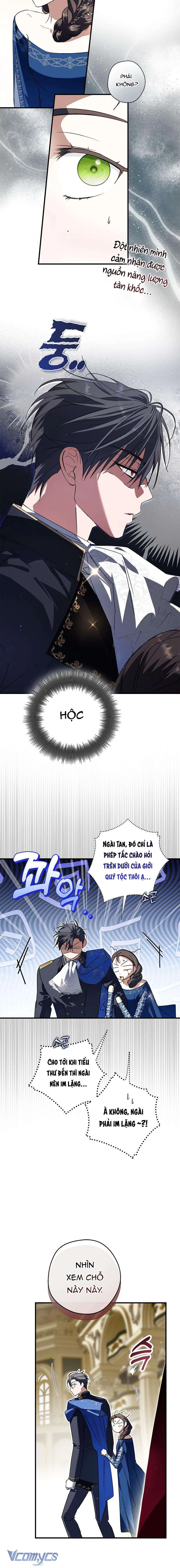 Các Nam Chính Đã Bị Nữ Phụ Cướp Mất Chapter 29 - 17