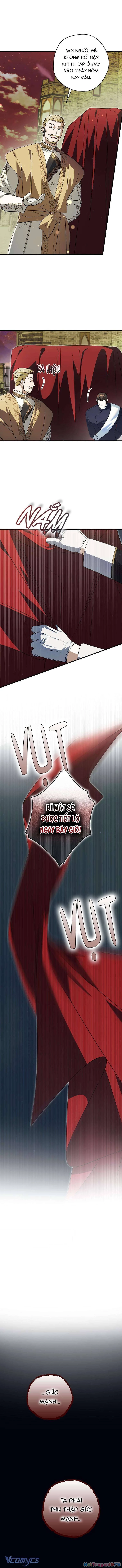 Các Nam Chính Đã Bị Nữ Phụ Cướp Mất Chapter 31 - 7