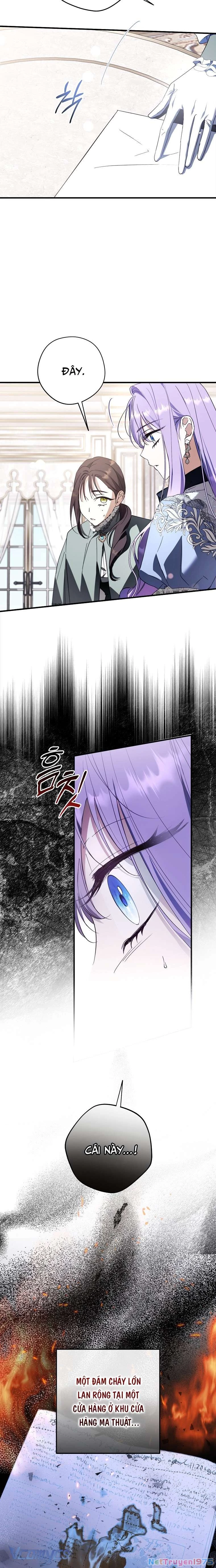 Các Nam Chính Đã Bị Nữ Phụ Cướp Mất Chapter 33 - 7