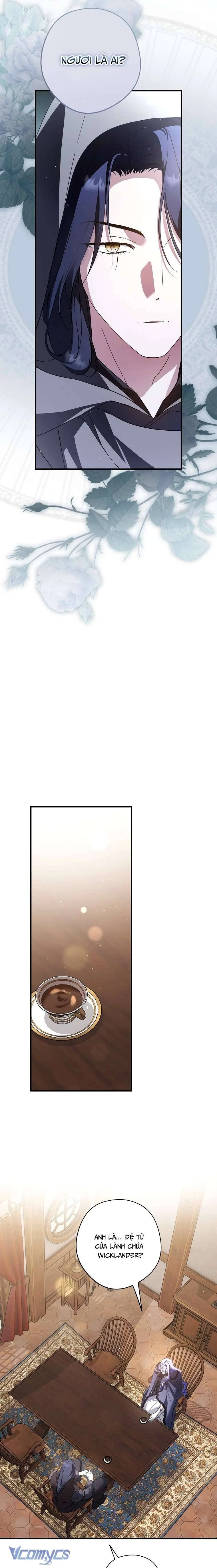 Các Nam Chính Đã Bị Nữ Phụ Cướp Mất Chapter 33 - 16
