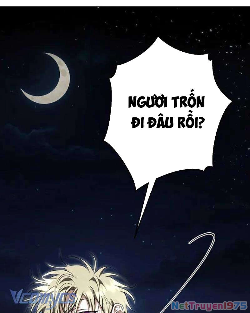 Các Nam Chính Đã Bị Nữ Phụ Cướp Mất Chapter 36 - 73