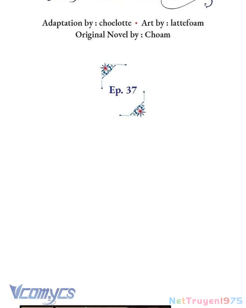Các Nam Chính Đã Bị Nữ Phụ Cướp Mất Chapter 37 - 20