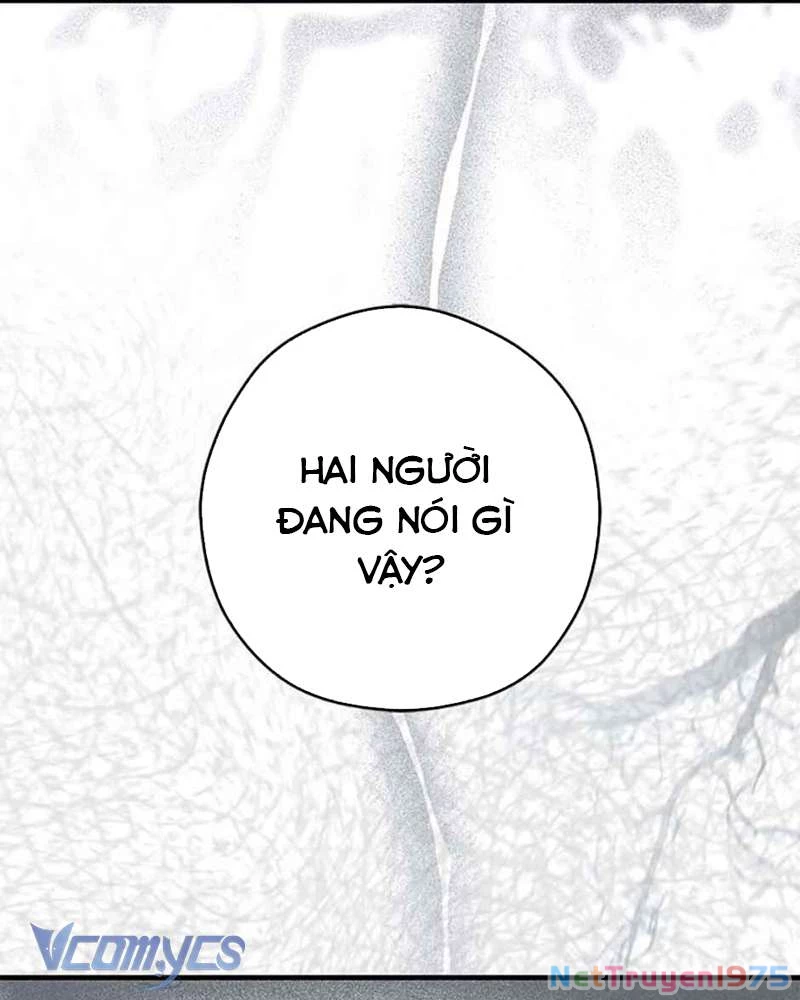 Các Nam Chính Đã Bị Nữ Phụ Cướp Mất Chapter 38 - 52