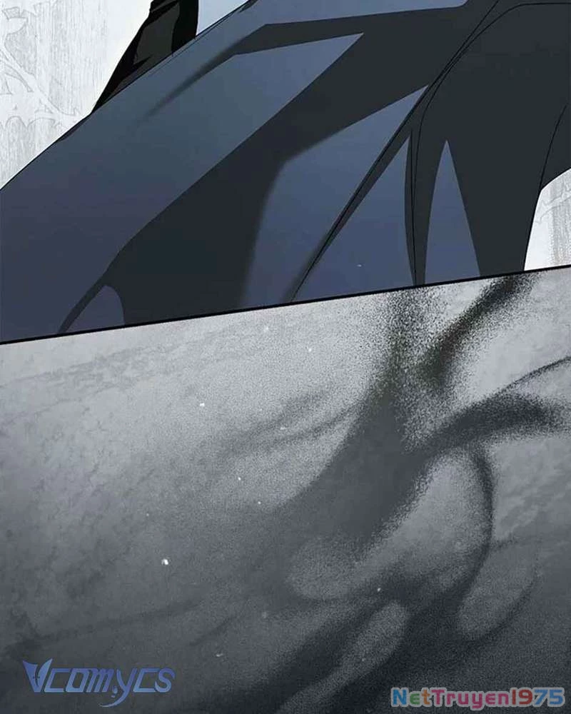 Các Nam Chính Đã Bị Nữ Phụ Cướp Mất Chapter 39 - 156