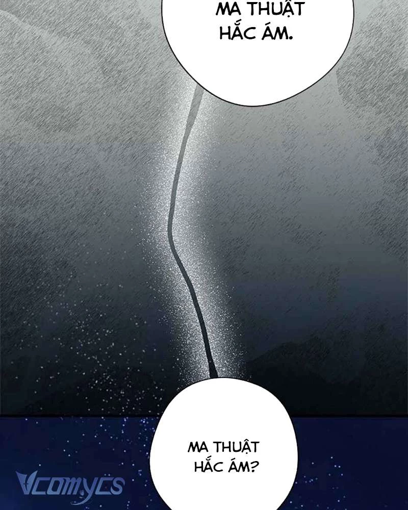 Các Nam Chính Đã Bị Nữ Phụ Cướp Mất Chapter 40 - 15