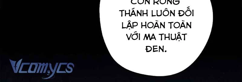 Các Nam Chính Đã Bị Nữ Phụ Cướp Mất Chapter 40 - 17