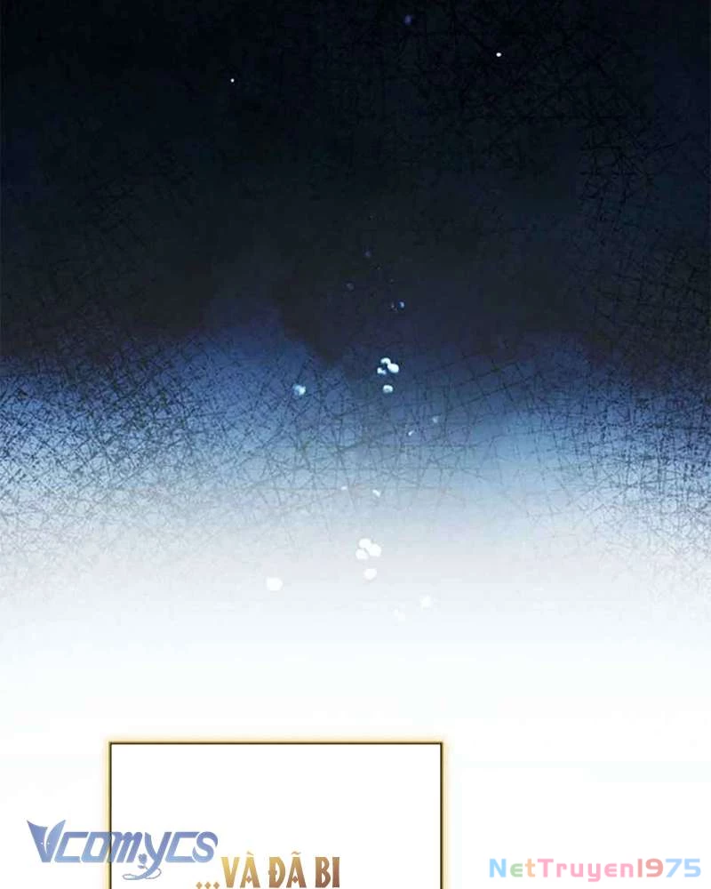 Các Nam Chính Đã Bị Nữ Phụ Cướp Mất Chapter 40 - 34