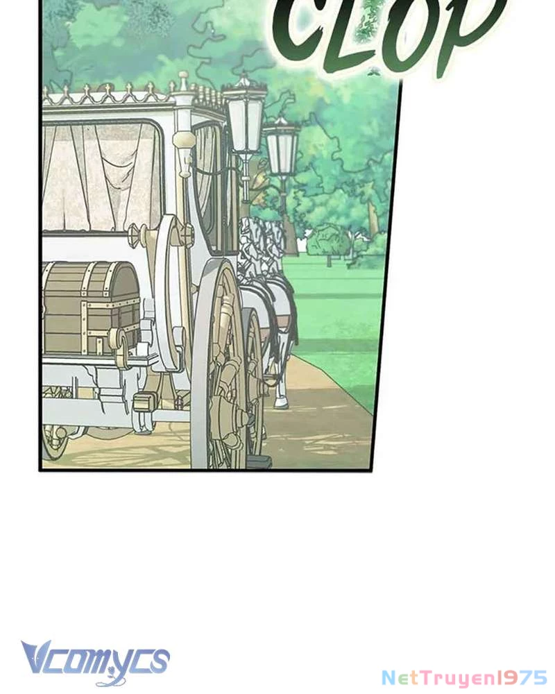 Các Nam Chính Đã Bị Nữ Phụ Cướp Mất Chapter 40 - 92