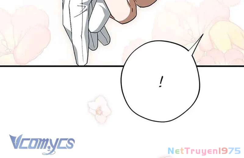 Các Nam Chính Đã Bị Nữ Phụ Cướp Mất Chapter 40 - 96