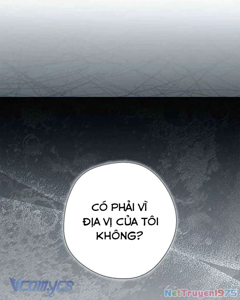 Các Nam Chính Đã Bị Nữ Phụ Cướp Mất Chapter 40 - 116