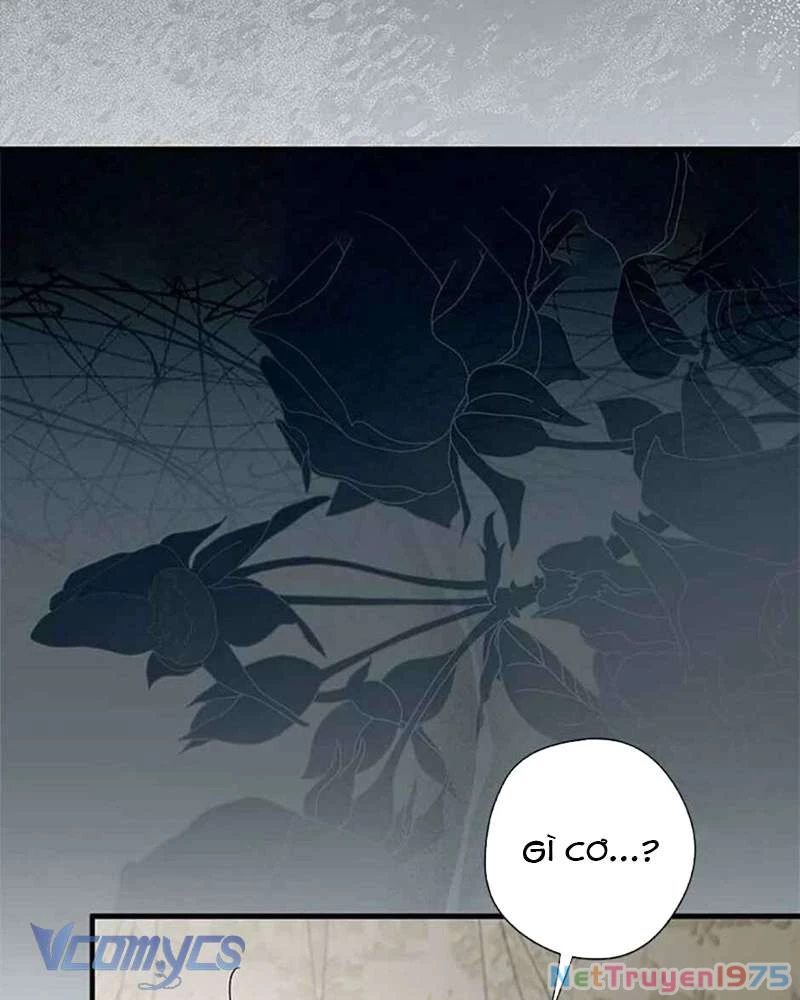 Các Nam Chính Đã Bị Nữ Phụ Cướp Mất Chapter 40 - 117