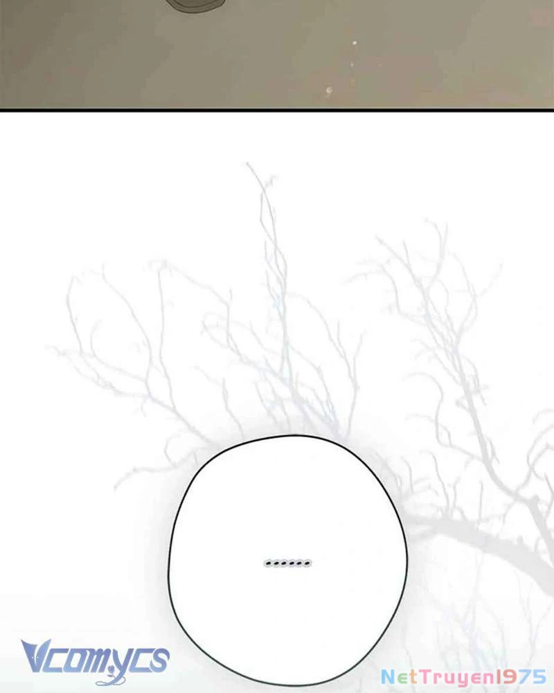 Các Nam Chính Đã Bị Nữ Phụ Cướp Mất Chapter 40 - 134