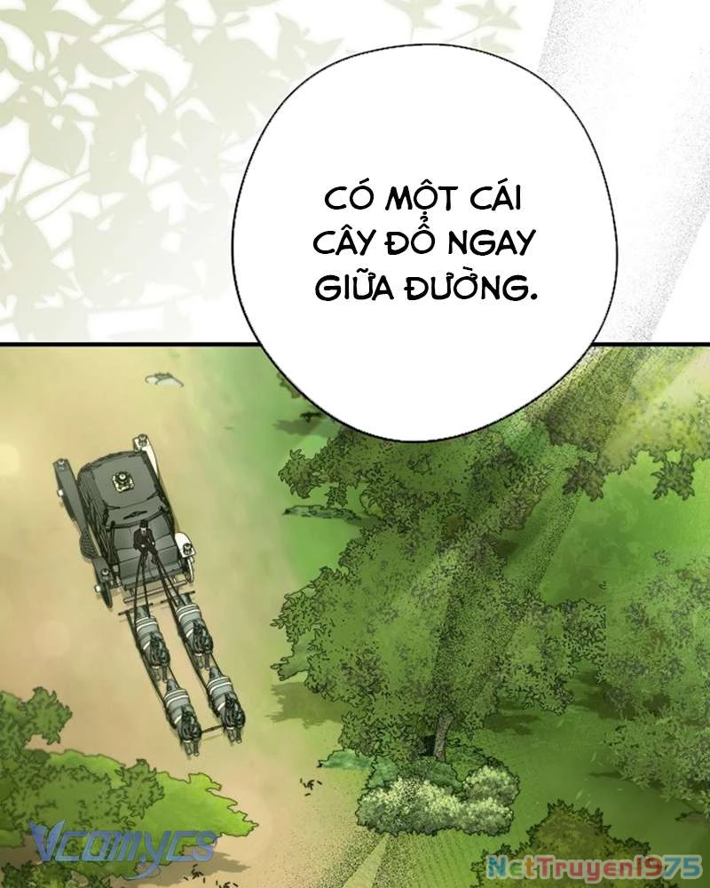 Các Nam Chính Đã Bị Nữ Phụ Cướp Mất Chapter 41 - 10