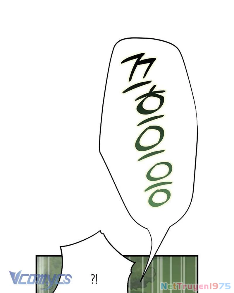 Các Nam Chính Đã Bị Nữ Phụ Cướp Mất Chapter 41 - 17