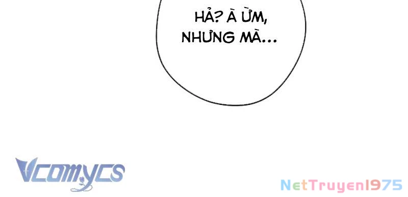 Các Nam Chính Đã Bị Nữ Phụ Cướp Mất Chapter 41 - 21