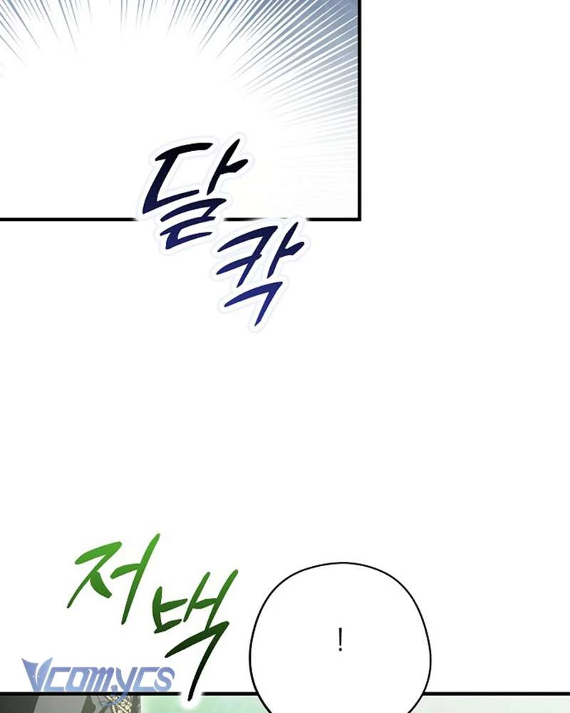 Các Nam Chính Đã Bị Nữ Phụ Cướp Mất Chapter 41 - 31