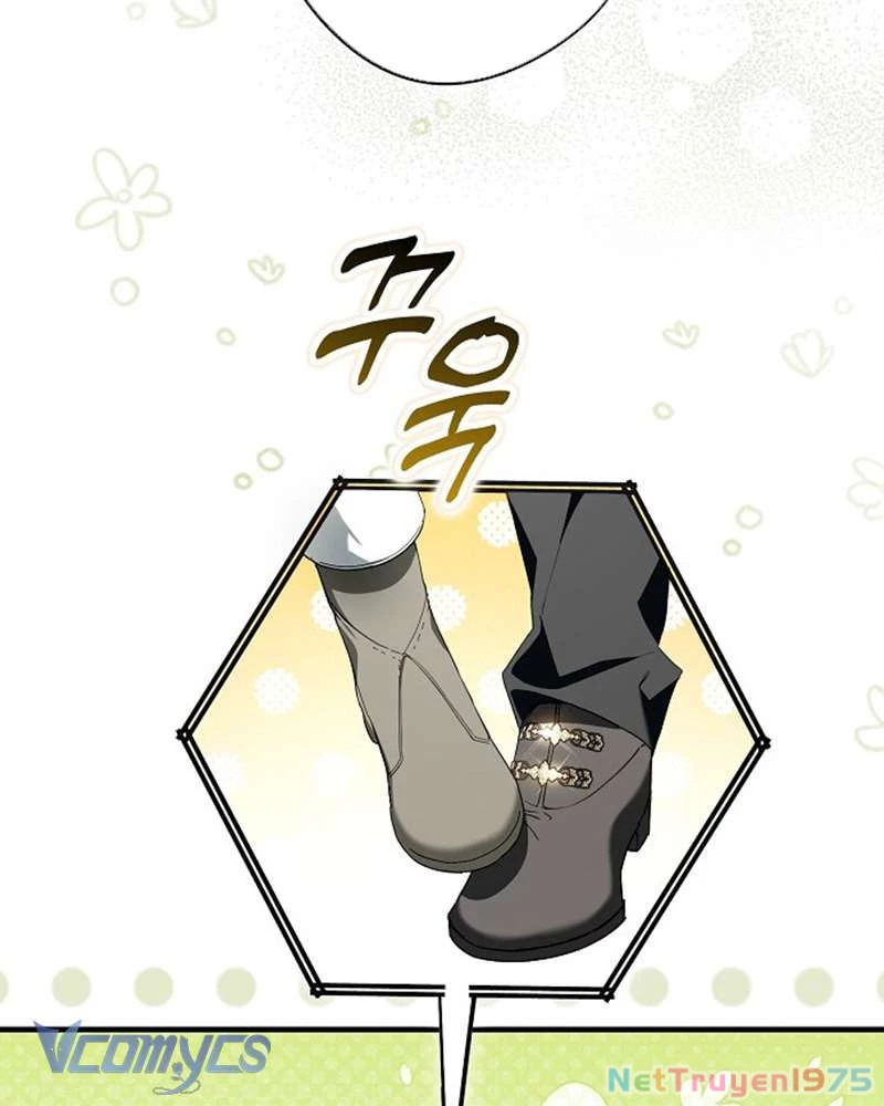 Các Nam Chính Đã Bị Nữ Phụ Cướp Mất Chapter 41 - 64