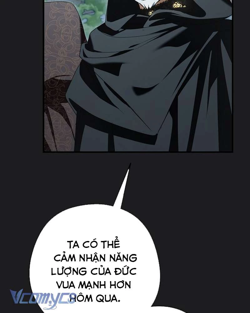 Các Nam Chính Đã Bị Nữ Phụ Cướp Mất Chapter 41 - 77