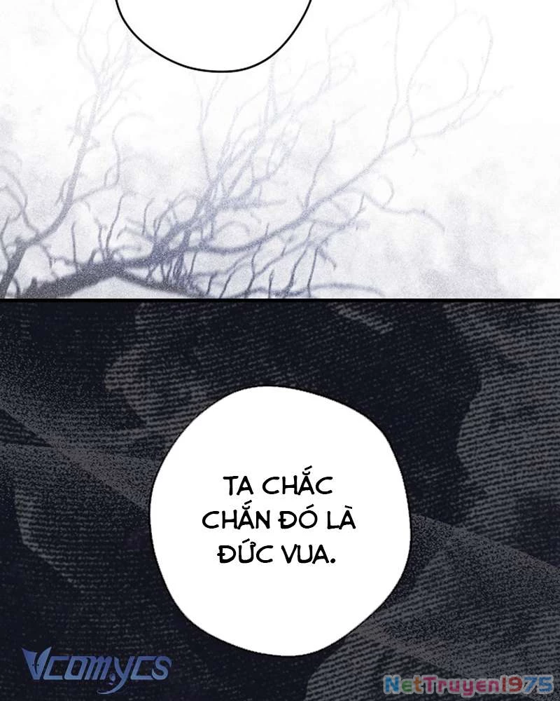 Các Nam Chính Đã Bị Nữ Phụ Cướp Mất Chapter 41 - 95