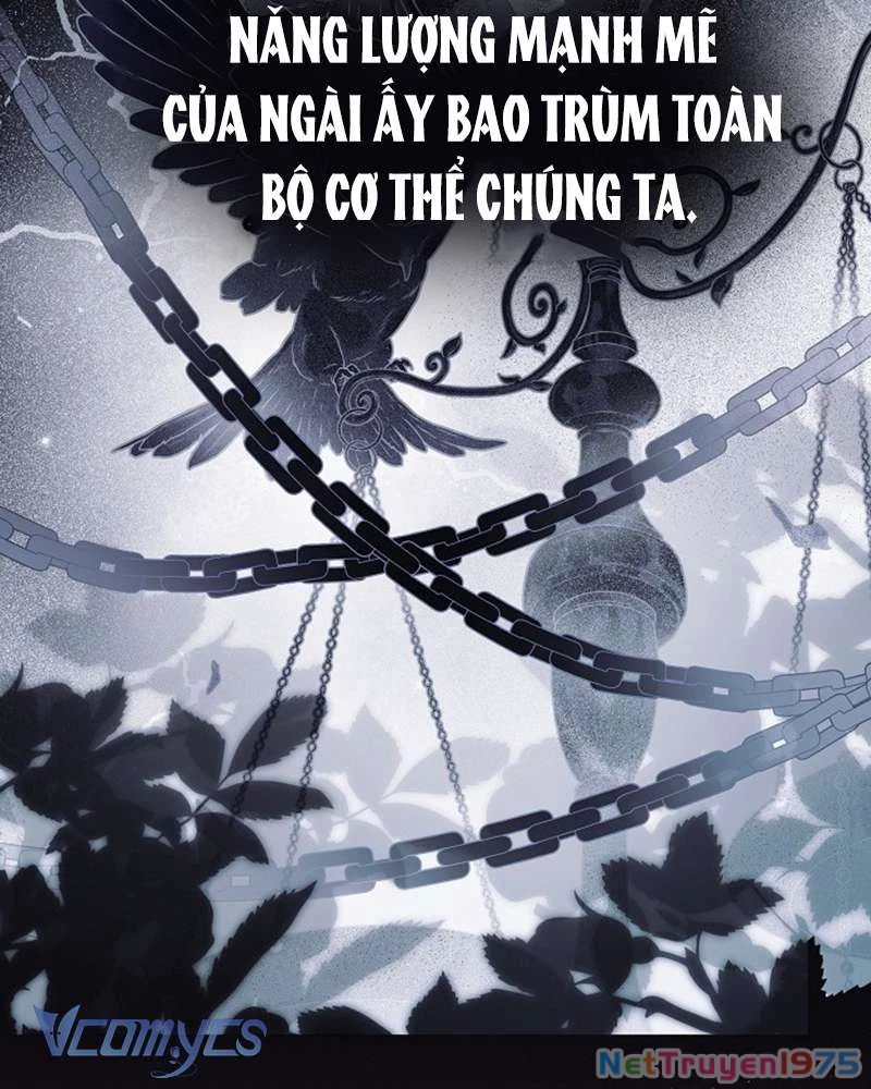 Các Nam Chính Đã Bị Nữ Phụ Cướp Mất Chapter 41 - 103