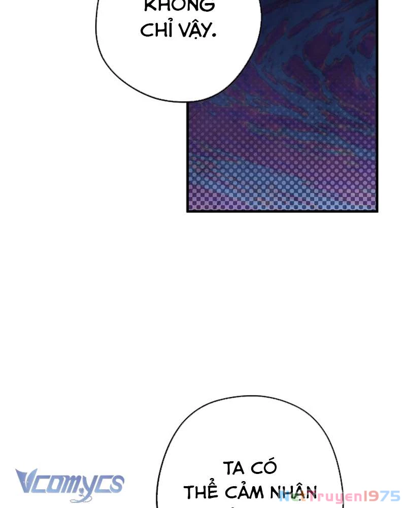 Các Nam Chính Đã Bị Nữ Phụ Cướp Mất Chapter 41 - 115