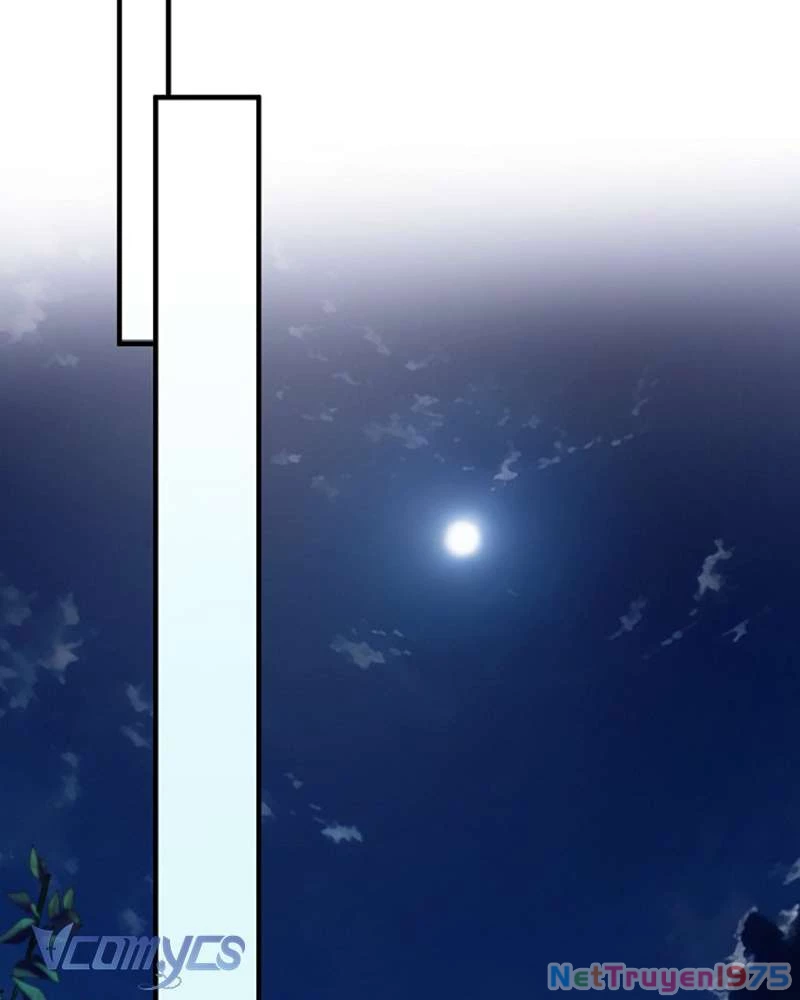 Các Nam Chính Đã Bị Nữ Phụ Cướp Mất Chapter 41 - 120