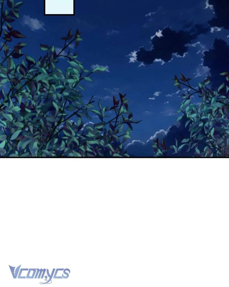 Các Nam Chính Đã Bị Nữ Phụ Cướp Mất Chapter 41 - 121