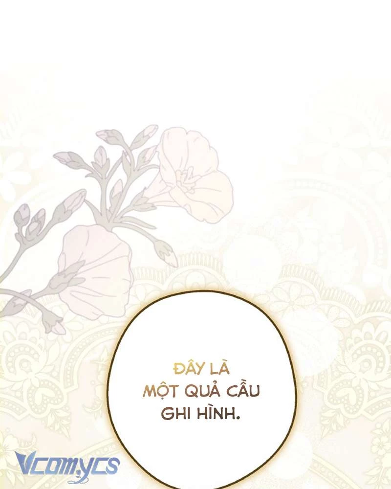 Các Nam Chính Đã Bị Nữ Phụ Cướp Mất Chapter 42 - 41