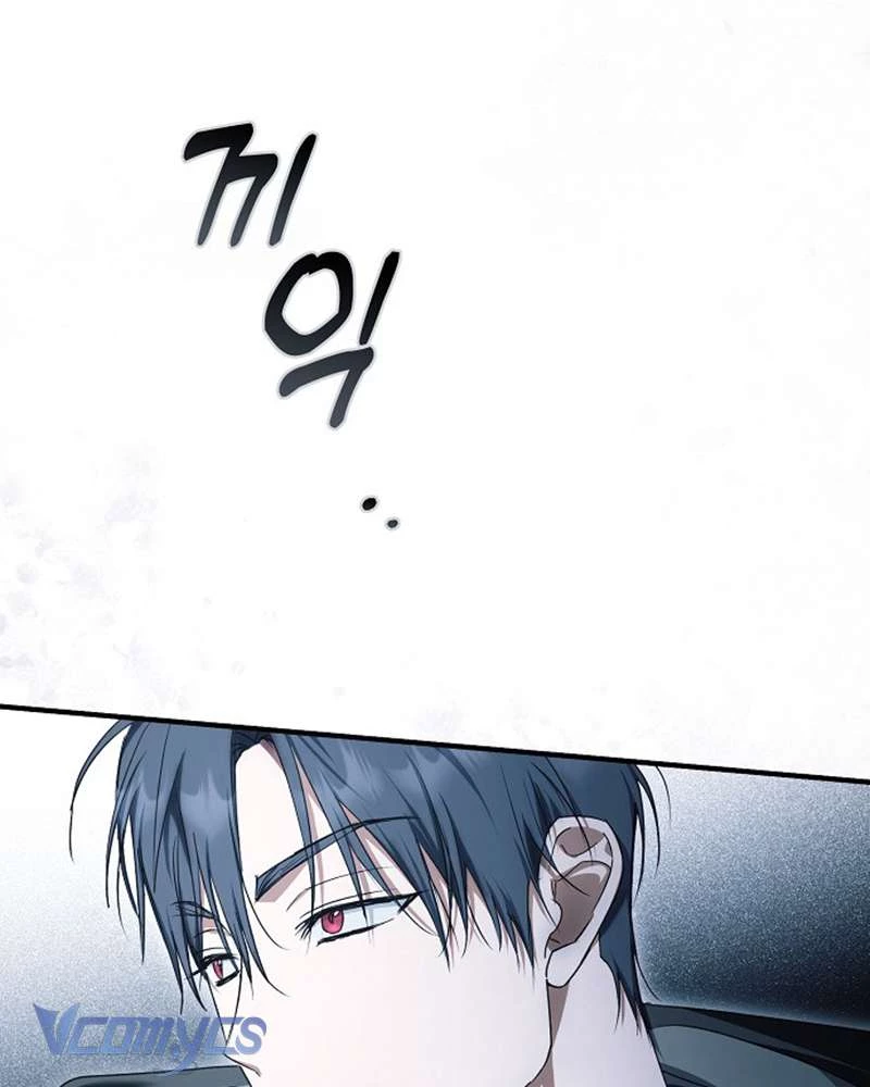 Các Nam Chính Đã Bị Nữ Phụ Cướp Mất Chapter 42 - 67