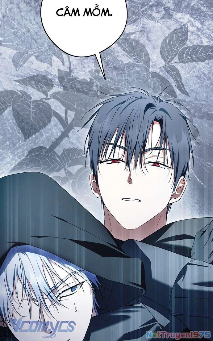 Các Nam Chính Đã Bị Nữ Phụ Cướp Mất Chapter 43 - 13