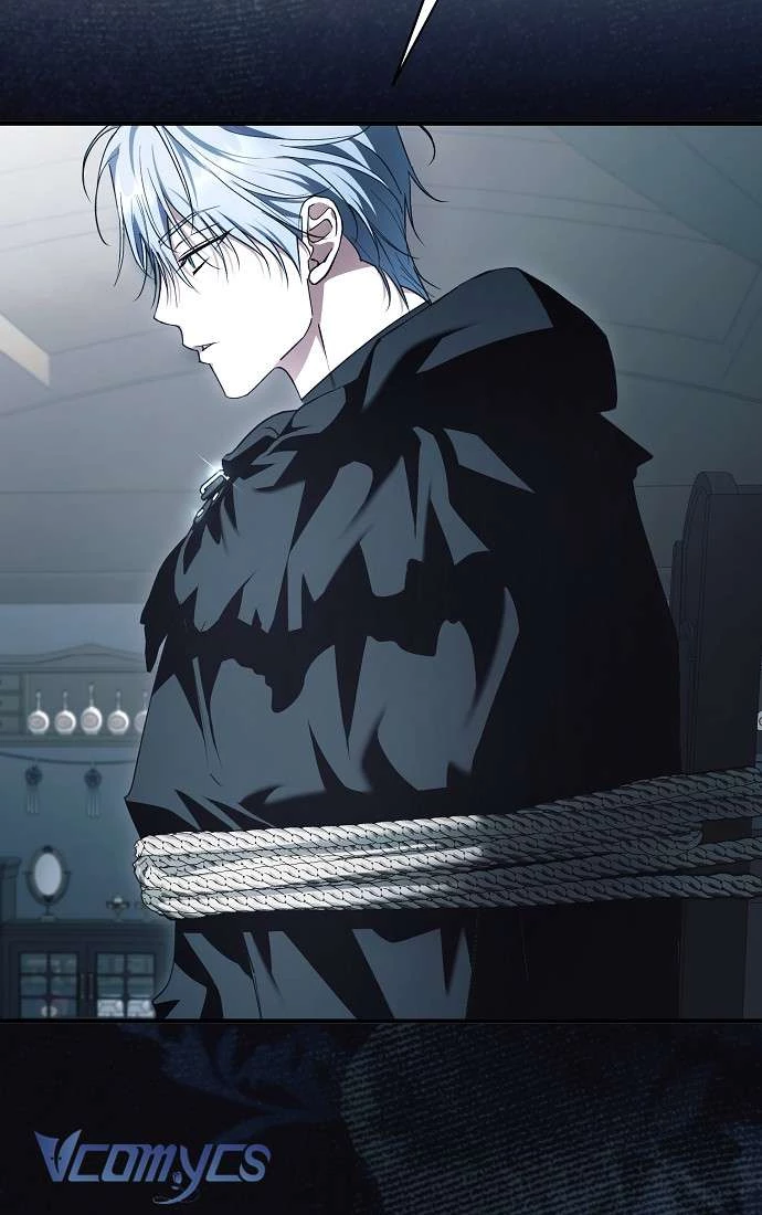 Các Nam Chính Đã Bị Nữ Phụ Cướp Mất Chapter 43 - 54