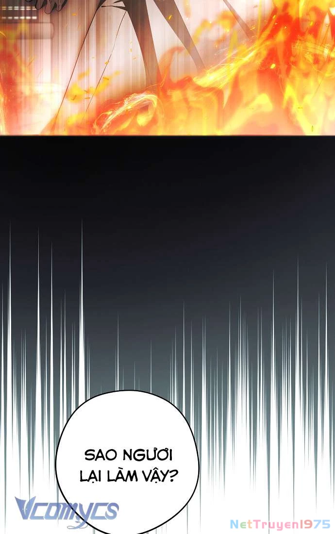 Các Nam Chính Đã Bị Nữ Phụ Cướp Mất Chapter 43 - 71