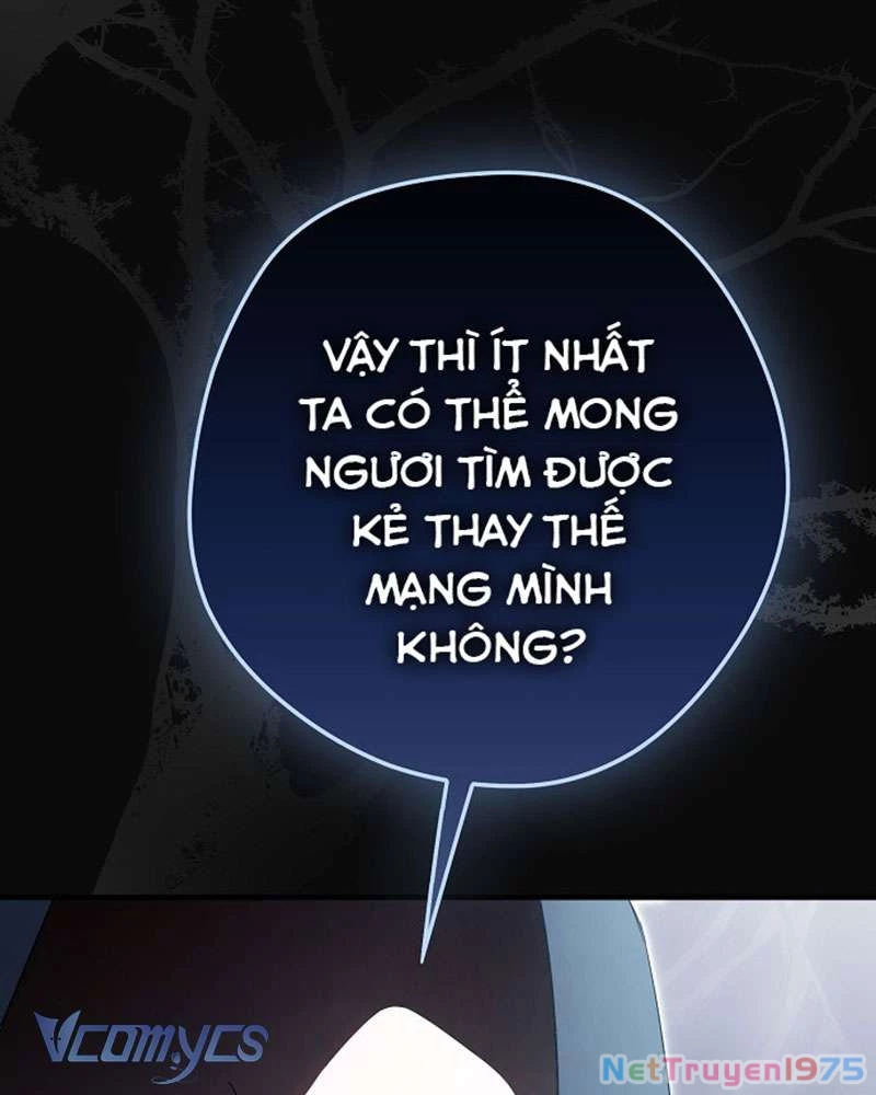 Các Nam Chính Đã Bị Nữ Phụ Cướp Mất Chapter 45 - 20